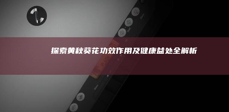 探索黄秋葵花：功效、作用及健康益处全解析